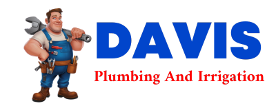 Trusted plumber in LANKIN